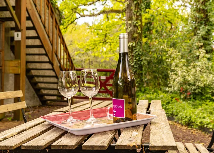 Les Du Robelier - Le Nid Bouaye