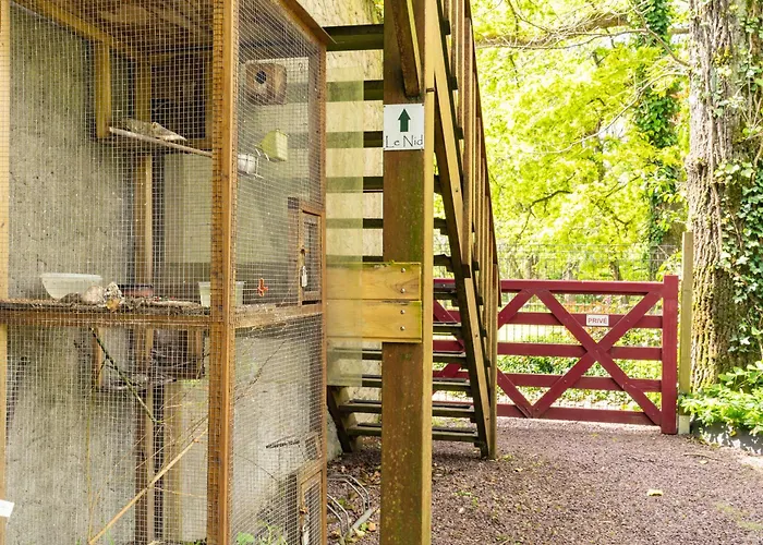 Les Du Robelier - Le Nid